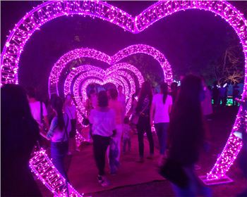 青海燈光節(jié)-節(jié)日亮化