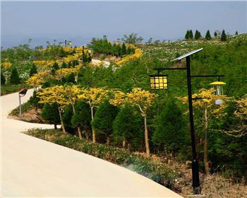 甘肅省隴南市文縣太陽(yáng)能殺蟲(chóng)燈項(xiàng)目